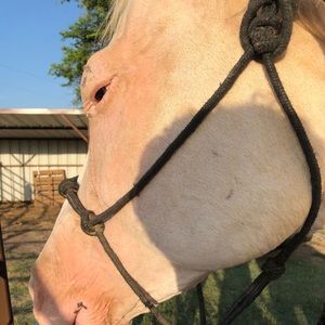 Meet your Posher, Georgia